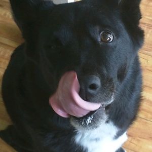 Meet your Posher, Anne